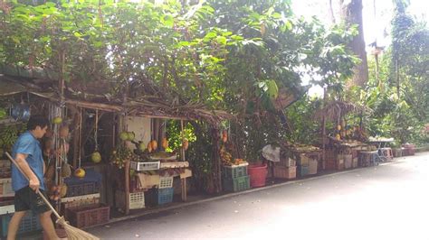 TITI KERAWANG WATERFALLS (2026) All You Need to Know BEFORE You Go ...