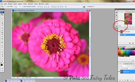 Image result for Tutorial for Extraction Is Photoshop CS6