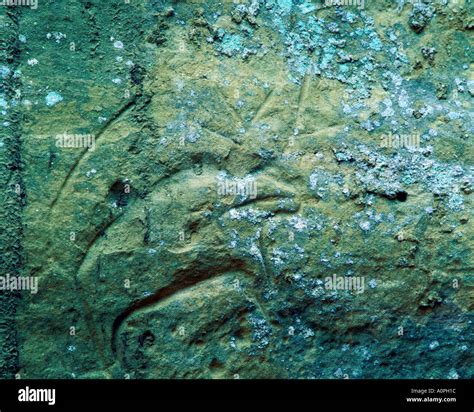 Petroglyph Indian Cave State Park along the Lewis Clark Trail Nebraska ...
