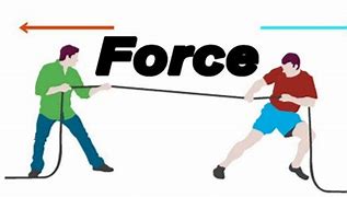 forces 的图像结果