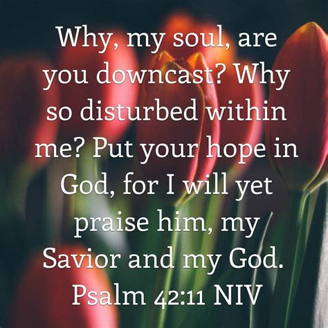 Psalm 42:11 | Psalms, Book of psalms, Shadow of the almighty