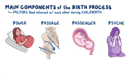 Baby Delivery Process 的图像结果