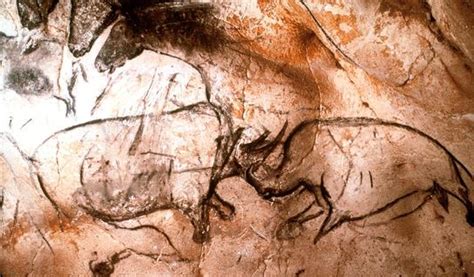 First Human Language 的图像结果