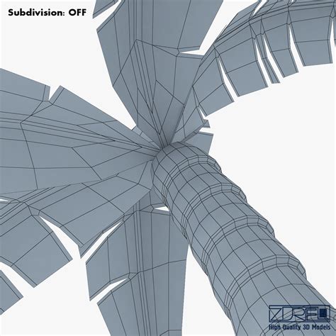 JavaScript Palm Tree Design Open Processing 的图像结果