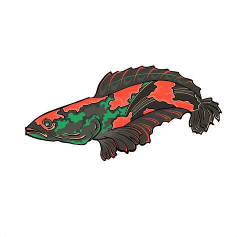 Fish Vector 的图像结果