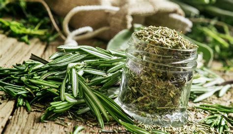 10 Benefits of Using Rosemary for Skin and Hair - lifeberrys.com