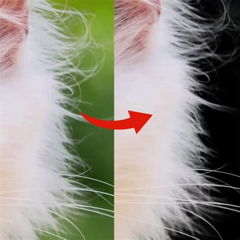 Image result for Photoshop Smart Remove Background