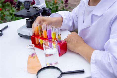 Microscope Science Experiments 的图像结果