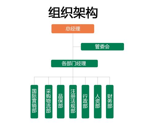 Label the Organizational Structure 的图像结果