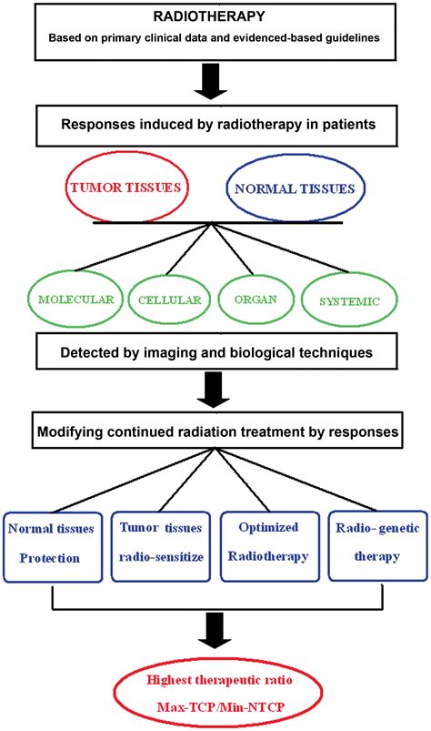 Experimental and Therapeutic Medicine