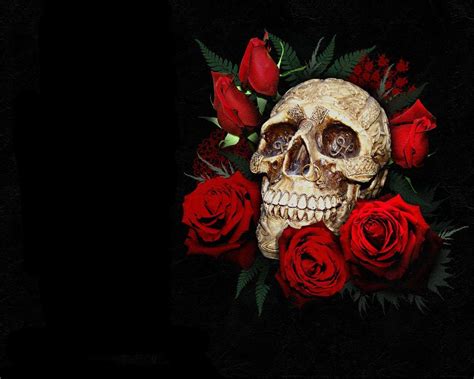 Roses and Skulls Wallpapers - Top Free Roses and Skulls Backgrounds ...