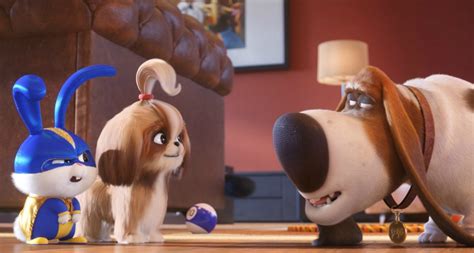 'The Secret Life of Pets 2' Is Coming to Theaters 2 Weeks Early | Fandango
