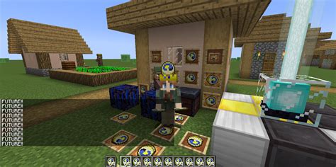 Image result for Minecraft Java Mod Name Future