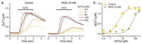 Lipid Raft Destabilization Impairs Mouse TRPA1 Responses to Cold and ...