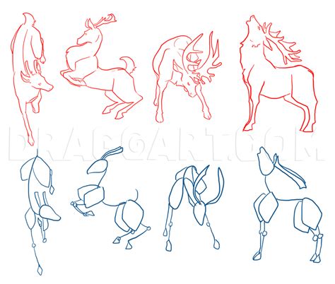 Deer Drawing Tutorial 的图像结果