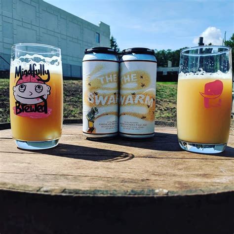 The Swarm - 32 oz. Crowler Fill – Twin Elephant Brewing Company