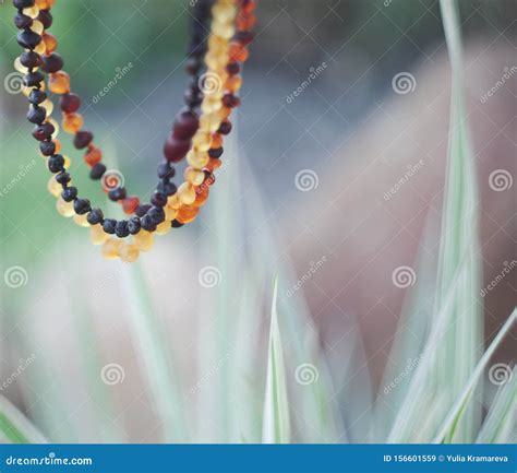 Teething Beads Amber stock image. Image of health, rawamber - 156601559