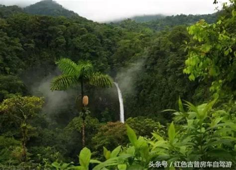 值得一去的全球十大热带雨林，带你走进大自然净土