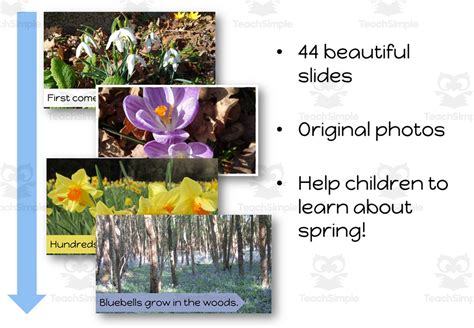Image result for PowerPoint Early Spring
