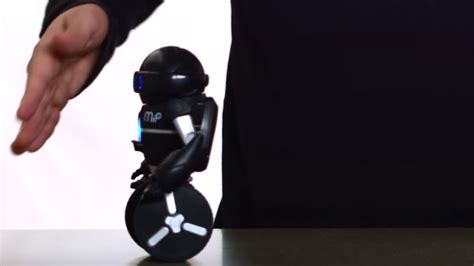 Mar MIP Tutorial 的图像结果