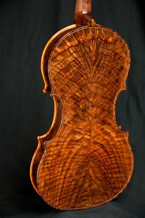 Image result for Five String Instruments