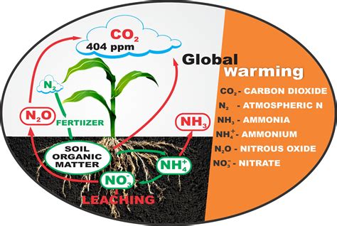 Uses Of Nitrogen