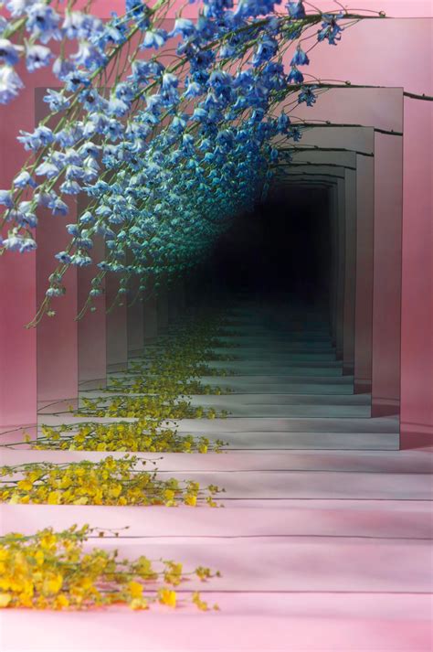 Image result for Walk-In Infinity Mirror Box