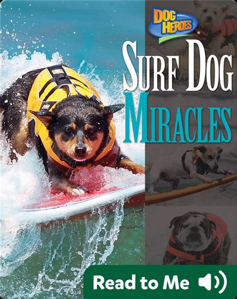 Surf Dog Miracles Book by Meish Goldish | Epic