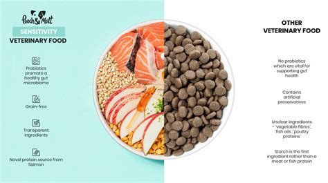 What's the best food for dogs with allergies? | Pooch & Mutt