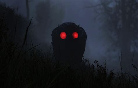 Mysterious Red-Eyed Creature 的图像结果