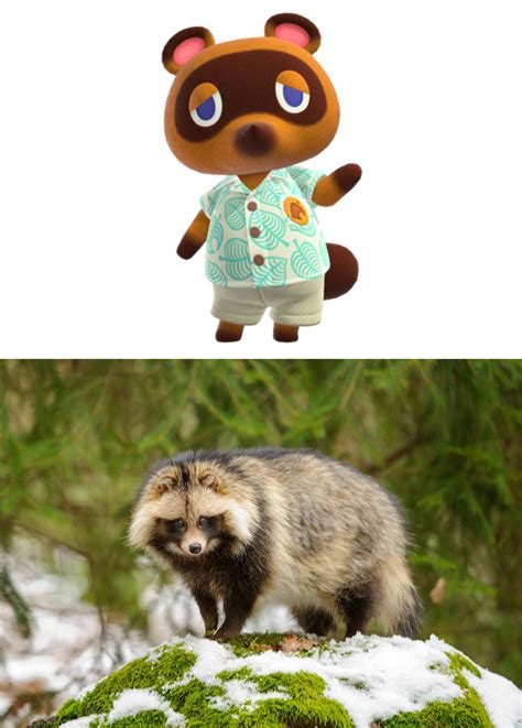 I was "Today Years Old" when I learned that Tom Nook is not an American raccoon, but rather a ...