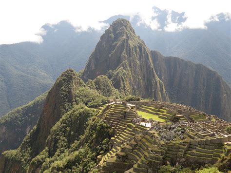Image result for World One Program MIT Graph