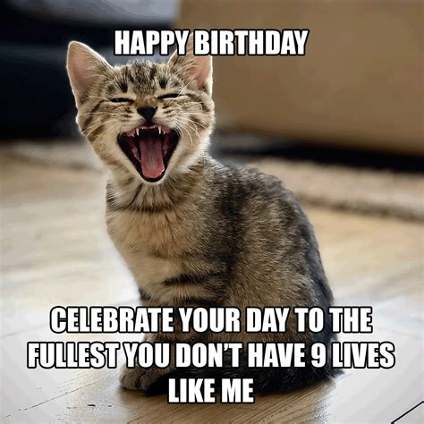 Happy Birthday Cat Gif