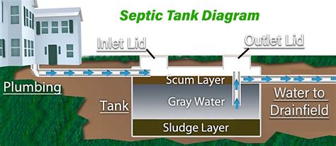 What is a Septic Tank and How Does it Work? — Alligator Septic
