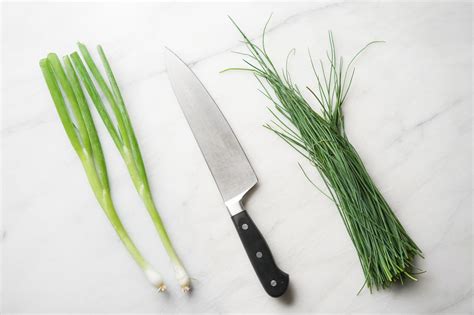Scallions vs. Chives vs. Green Onions: What’s the Difference? - Fueled ...