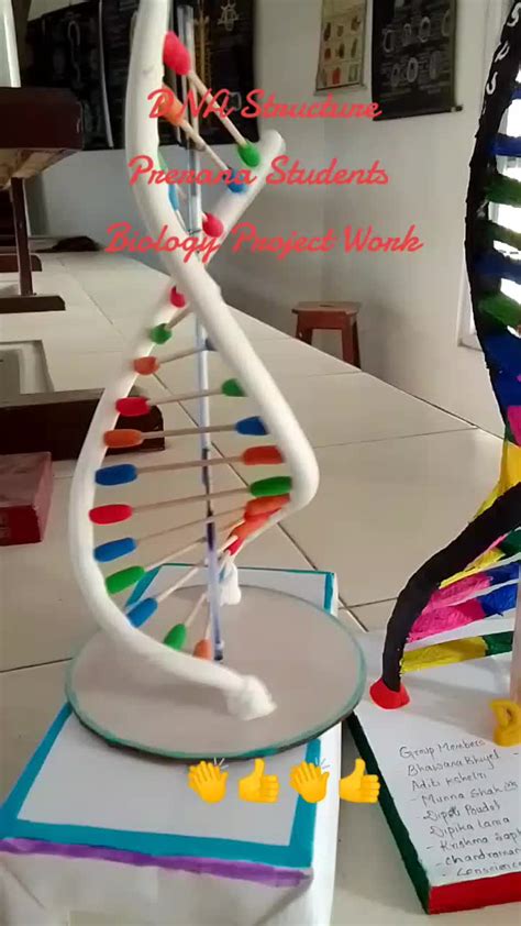 Image result for DNA Simple Homemade Model