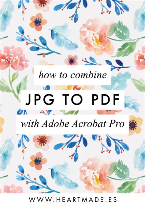 Image result for Jpg to PDF Using Acrobat