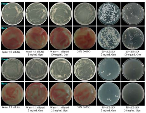 Activation of the Dormant Secondary Metabolite Production by ...