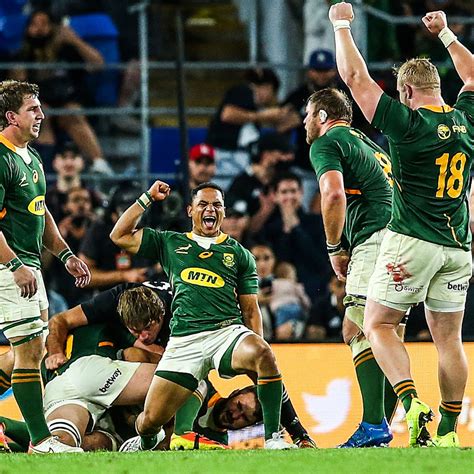 Image result for Springbok Rugby Pics