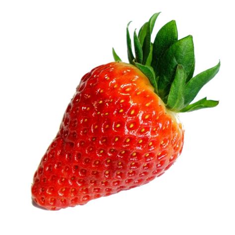 Memory Game Tutorial 的图像结果