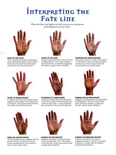 Palm Reading Guide Fate Line | nns classiq cookies