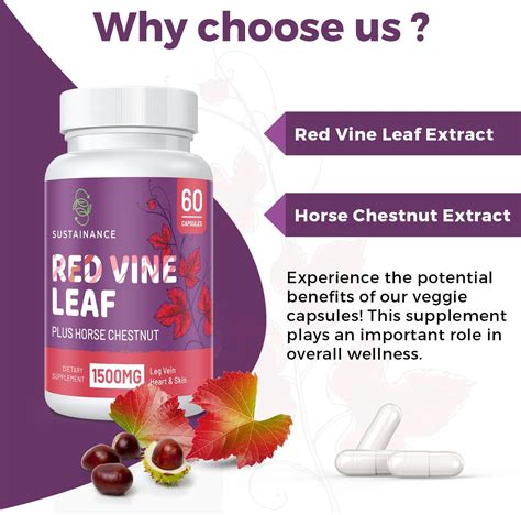 Buy SUSTAINANCE Red Vine Leaf Extract 1400mg & Horse Chestnut Extract ...
