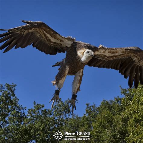 ROCHER DES AIGLES (2024) All You Need to Know BEFORE You Go (with ...