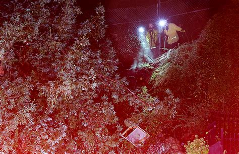 Santa Cruz police arrest two alleged arsonists in unrelated fires ...