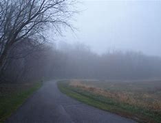 Image result for foggy morning