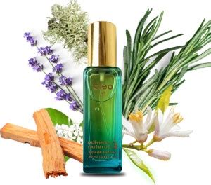 Buy Adiveda Natural Cleo Eau de Parfum - 20 ml Online In India ...