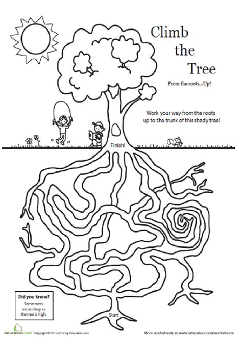 Image result for Growth Tree Object Lesson CEF