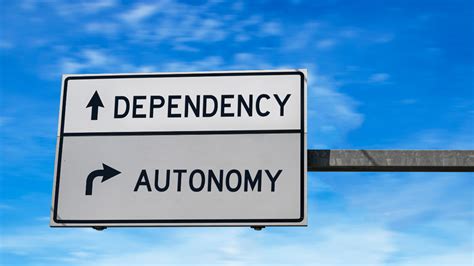 Image result for Full Autonomy