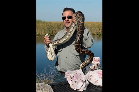 Image result for Florida Burmese Python Hunters