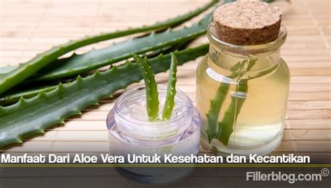 manfaat dari aloe vera